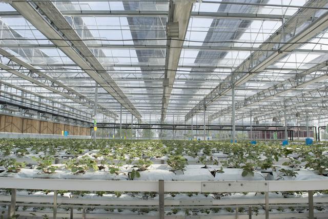 1632715542486087.jpg clip_image001.jpg